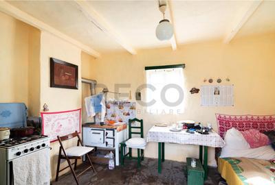 RECO Casa cu teren 3036mp, Bors - 9