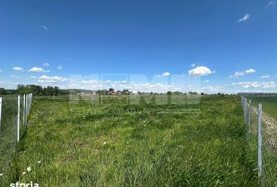 Teren de 2600 mp, în Horodnic - 3