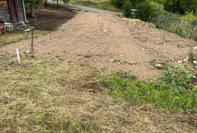 Spațiu comercial, în Dezmir - 6