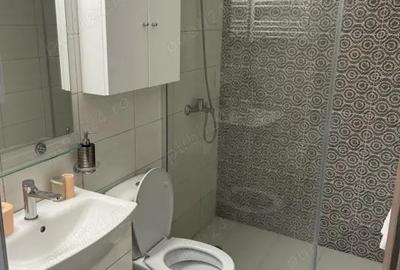 Apartament 1 camera ultracentral de Inchiriat Apartament 1 camera ultracentral de Inchiriat - 4