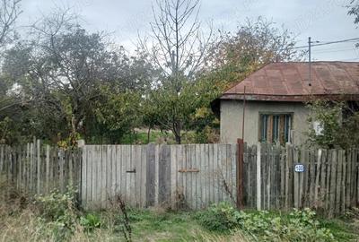 Casă cu 4 camere în Copaciu - 4