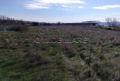 Teren de 5000 mp, în Miroslava - 6