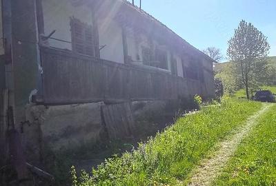 Casă cu 3 camere cu Teren 5400 Mp în Daia (Bahnea) - 8