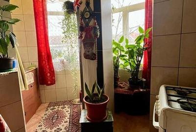 RECO Apartament 2 camere tip D zona Nufarul - 2