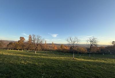 Teren de vanzare Unguras - 3