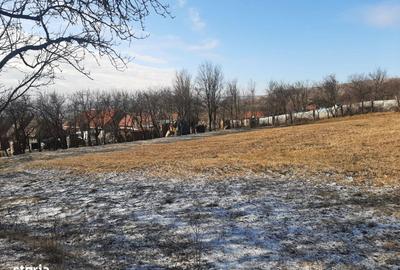 Spațiu comercial, în Rediu - 3