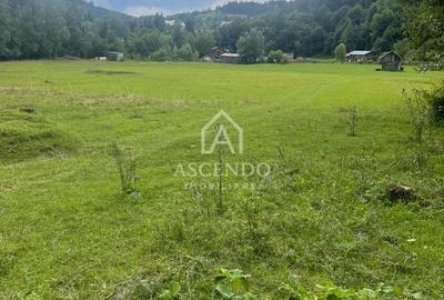 Teren de 4500 mp, în Dâmbovicioara - 3