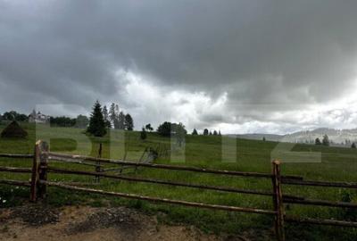 Teren de vanzare intravilan in Poiana Stampei, 2 hectare - 7