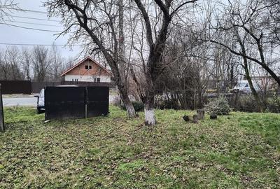 Casa de vanzare Scoar?a - 4