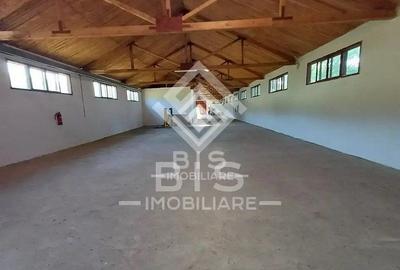 Spațiu industrial, de 1,200 mp, în Sud-Vest - 2