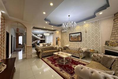 Vila de inchiriat Colentina - 21