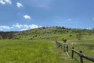 Domeniu - 66 Hectare - Teren deosebit Copsa Mica cu desch... - 7