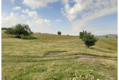 Teren Sercaia  250 ha - 3