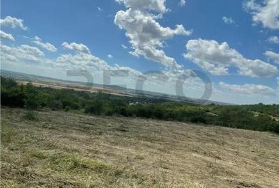 Teren de 1675 mp, în Podgoria - 7