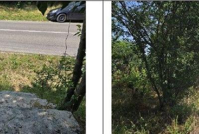 Casa si teren Cucuruzu, ID: R2609648 - 4