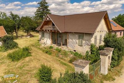 FILM! Casa personalizabila,2.700mp teren, pomi fructiferi,langa Sfantu Gheorghe: - 2