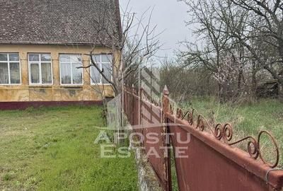 Casă cu 5 camere cu Teren 3383 Mp în Remetea Mare - 4