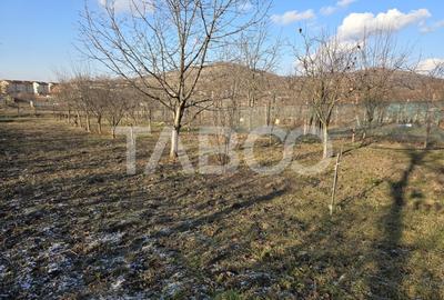 Casa individuala de vanzare 4 camere si curte 1310 mp Gusterita - 3