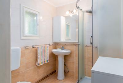 Casa in localitatea Balaia, judetul Bihor - 9