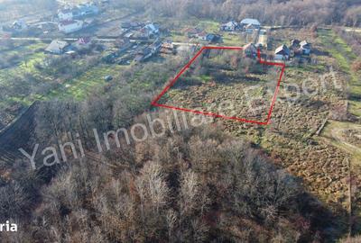 Casă cu 2 camere în Merișani - 14