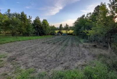 Casa de vinzare . - 1