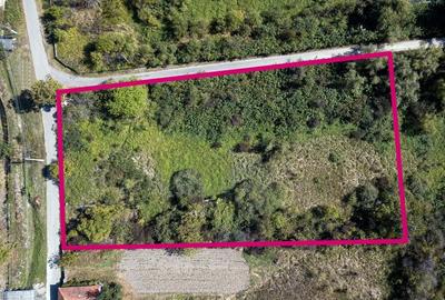 Teren pentru casa de vacanta 4320 mp - 3