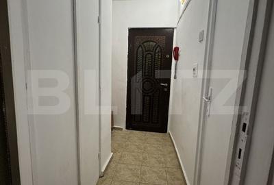 Garsonieră semidecomandată în Brazda lui Novac - 2