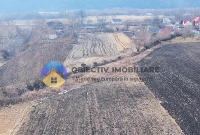 Teren de 10515 mp, în Bodești - 2