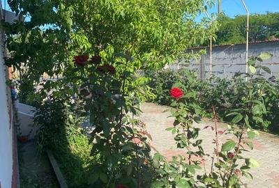 Casă individuală cu 3 camere cu Teren 1500 Mp în Brebeni - 3