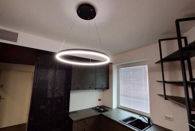 UNIRII - Cosbuc 2 camere mobilat decomandat centrala proprie terasa 23 mp - 3