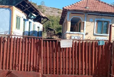 Casa Calinesti Arges - 2