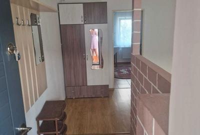 Garsonieră semidecomandată în Vișan - 4