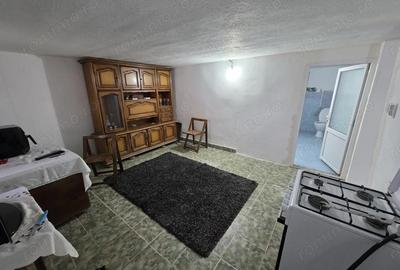 Casă cu 2 camere cu Teren 732 Mp în Tormac - 11