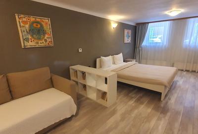 Apartament decomandat, mobilat în Centrul Istoric - 4