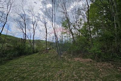 Teren superb, intravilan - la marginea padurii ! - 4