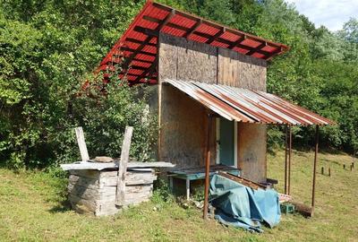 Cabana, anexe si 2000 mp teren intravilan in Taratel, Brad - 17