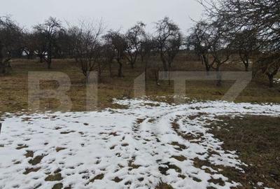 Spațiu comercial, în Cheia - 5