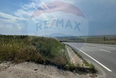 Teren de 3500 mp, în Ilișești - 10