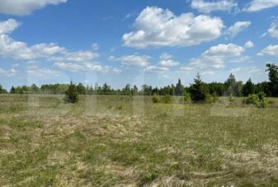 Teren de 2500 mp, în Central