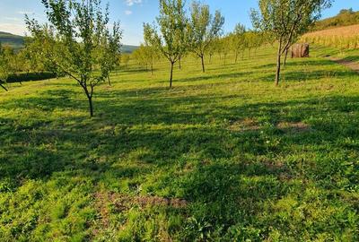 Spațiu comercial, în Aluniș - 6