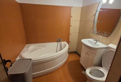 Apartament cu 3 camere decomandat, mobilat în 1 Mai - 4