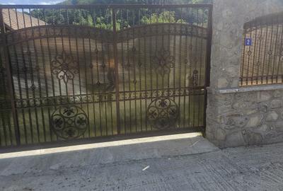 Teren de 3000 mp, în Bâsca Chiojdului - 3