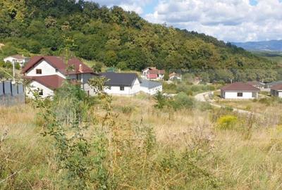 Teren de 785 mp, zona Dealul Jelnei - 2