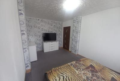 Apartament cu 3 camere decomandat, mobilat în Soarelui - 7