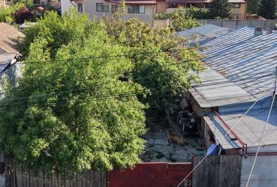 Casă individuală cu 3 camere cu Canalizare în Popești-Leordeni - 17