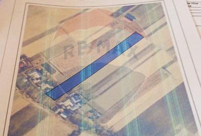 Teren intravilan, 7500 mp in Moara Carp / Strada Eternita... - 6