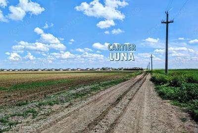 Teren de 27840 mp, în Balotești - 10