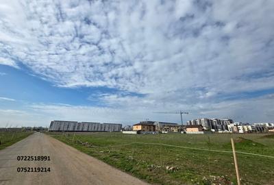 Teren Construcții intravilan de 4200 mp, în Theodor Pallady