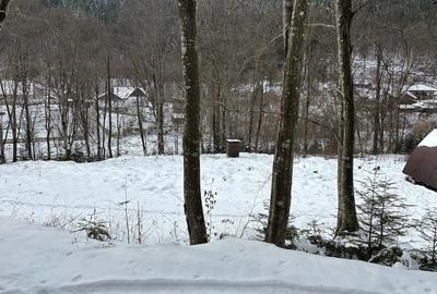 Teren de 3275 mp, în Frumoasa - 9