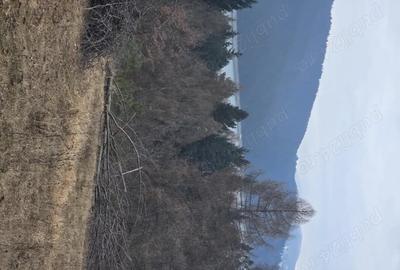 Teren de 2000 mp, în Hangu - 3